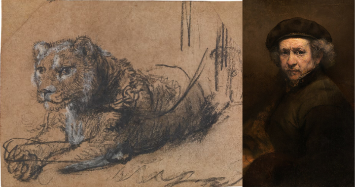 Rembrandts Lion